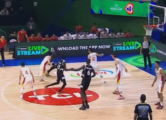 王哲林篮板.gif